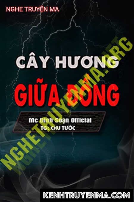 Nghe truyện Cầy Hương Giữa Đồng