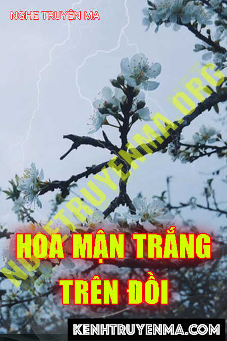 Nghe truyện Hoa Mận Trắng Trên Đồi